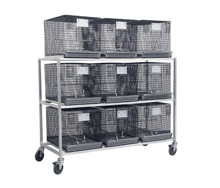 What is the Best Type of Rodent Caging for Vivariums?